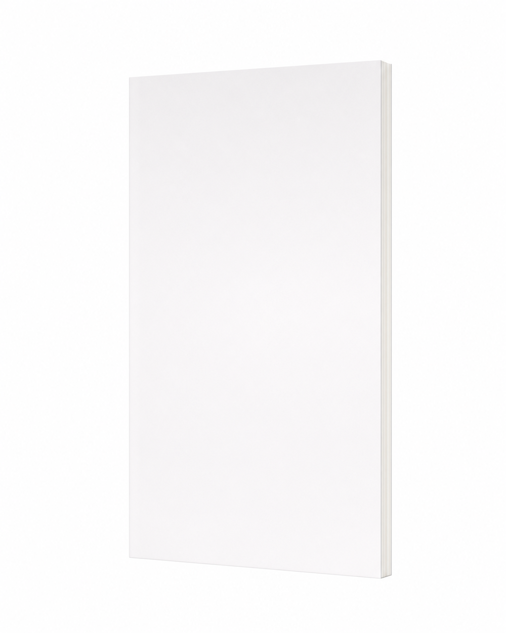 thin book, three-quarter blank reference